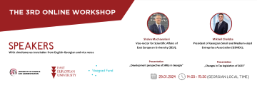 3rd Online Workshop for Georgian SMEs: Development Perspective of  SMEs in Georgia